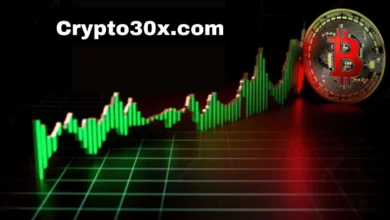 Crypto30x.com Breakdown: Smarter Paths to Scalable Returns