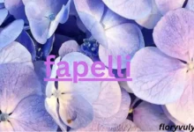 Fapelli Fusion: Luxury, Culture, Identity