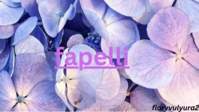 Fapelli Fusion: Luxury, Culture, Identity