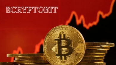ecryptobit.com NFT Market Pulse for Digital Creators
