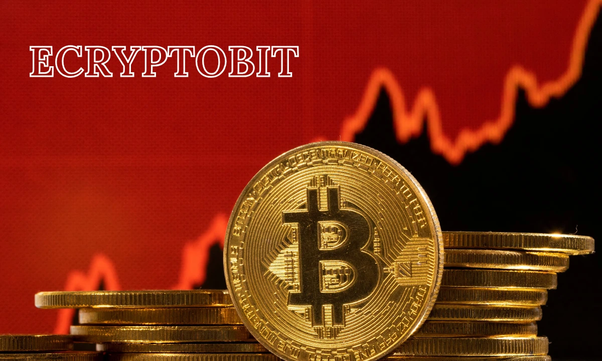 ecryptobit.com NFT Market Pulse for Digital Creators